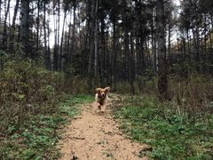 -玉泉威虎山森林公园