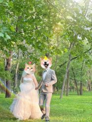 -拾尚映画·STUDIO婚纱摄影(中关村店)