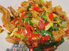 -壹盏灯(惠农店)