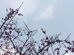 -天赐温泉