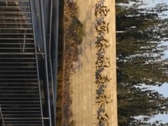 -永定河休闲森林公园