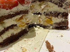 -维尔纳斯·生日蛋糕动物奶油冰淇淋蛋糕(人大店)