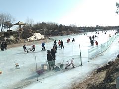 -通辽森林公园