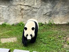-上海野生动物园