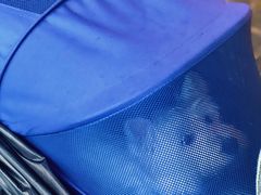 -汪星球宠物生活馆