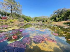 -云溪植物园