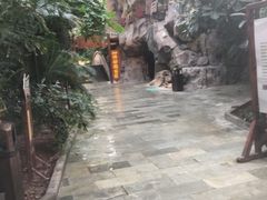 -龙达温泉生态城