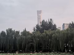 -团结湖公园