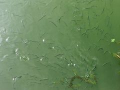 -昆山城市生态森林公园