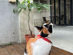 -微饮cafe