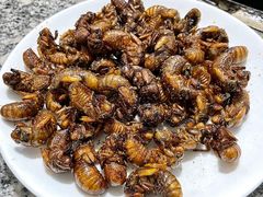-夏家大锅台炖鱼馆