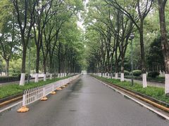 -后襄河公园