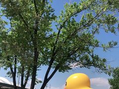 -南戴河国际娱乐中心