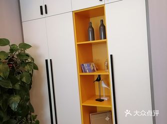 这样这个衣柜既可以收纳衣服，又可以当做收纳柜使用