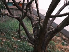 -伯先公园