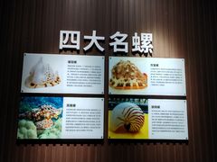 -贝壳王国博物馆