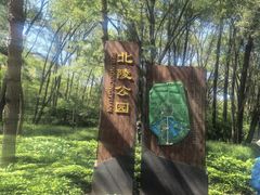 -北陵公园