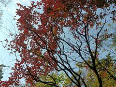 -广州市白云山风景名胜区