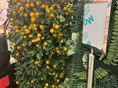 -翠华餐厅(香港国际机场店)