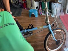 -道路口单车爱瓦士dahon大行