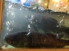 -三品香·江浙菜(松江九谊店)