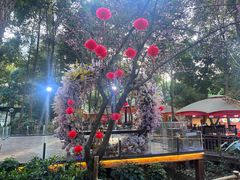 -二荆条·蜀鲜汇城市森林火锅