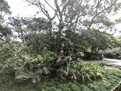 -惠山古镇·寄畅园