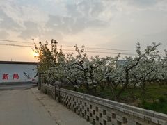 -卤阳湖国家湿地公园