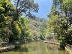 -云南屏边大围山国家公园