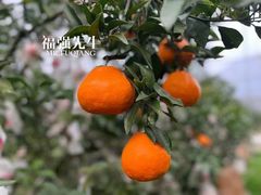 -山东师范大学(千佛山校区)