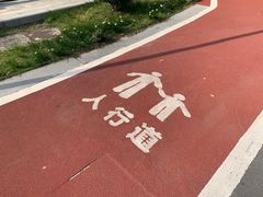 -八大山人梅湖景区