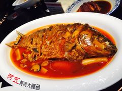 红烧黄河鲤鱼-阿五黄河大鲤鱼(英协路店)