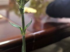 -北京大学深圳研究生院-燕园2食堂