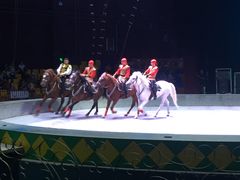 -蓬莱欧乐堡梦幻世界