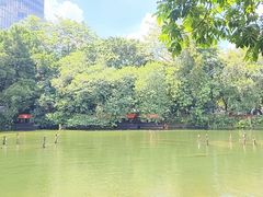 -侨美·唐荔园·40年地道粤菜