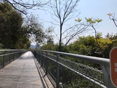 -佛山华盖山公园
