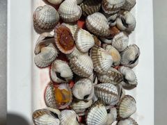 -华盛丰温州大排档(东三环南路店)