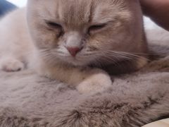 -平行世界·猫咖(首经贸店)