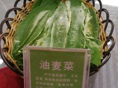 -教师之家赵家羊汤馆(东青龙街店)