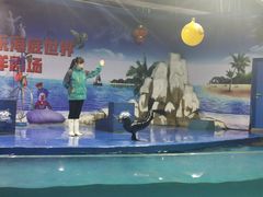-重庆欢乐海底世界