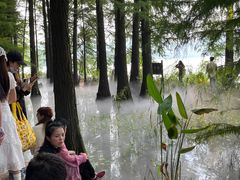 -东湖落雁景区