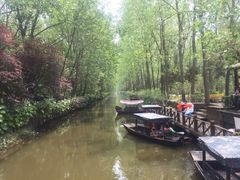 -合肥滨湖国家森林公园