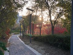 -营口金泰珑悦海景大酒店