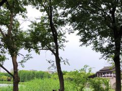 -长广溪湿地公园