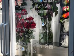 -Blueglass酸奶(财富购物中心店)