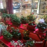 喜庆新春