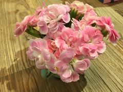 -宝珠奶酪(长宁金虹桥店)