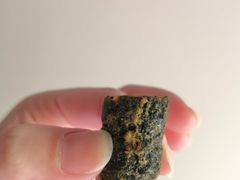 -三只松鼠(世欧广场店)