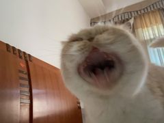 -宁波杉井奥特莱斯广场