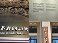 -国家自然博物馆